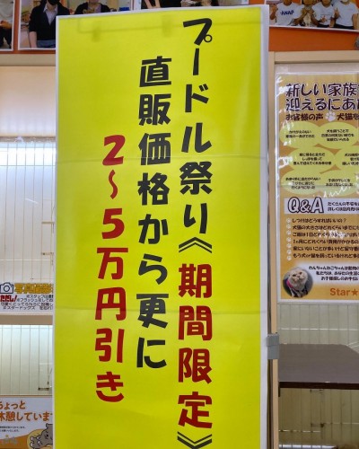 245C9A6C-3A16-4999-93F4-98F749C8723C