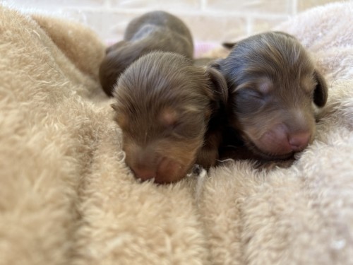 写真 2023-10-25 14 29 49