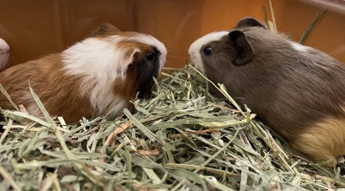 写真 2023-10-05 14 12 28