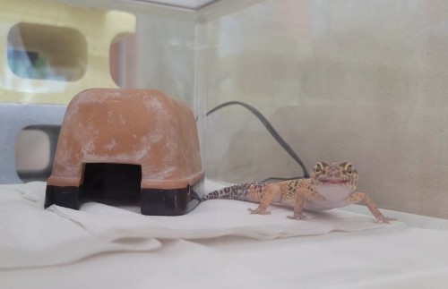 写真 2023-10-21 13 39 36