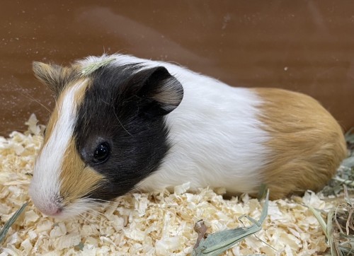 写真 2023-10-05 14 12 28 (1)