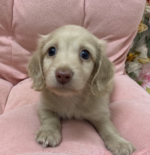 写真 2023-10-26 18 44 47