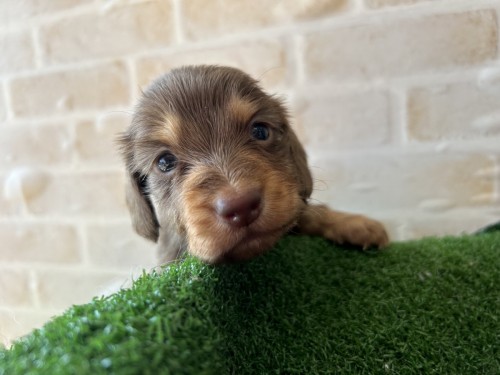 写真 2023-11-15 11 03 05