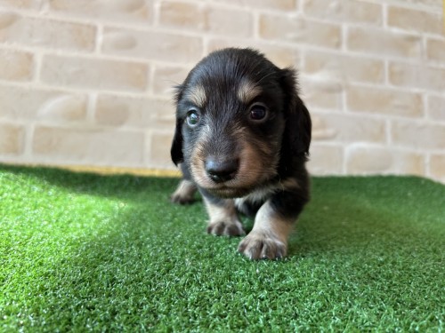 写真 2023-11-15 11 08 15