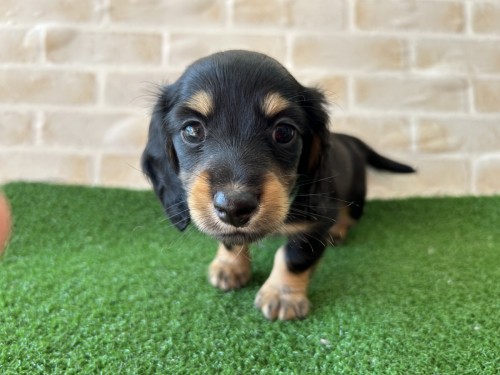 写真 2023-11-17 13 06 56