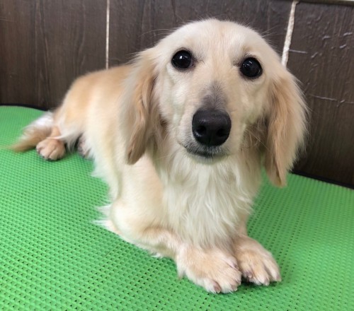 写真 2024-01-28 18 09 18