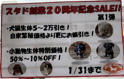 写真 2024-01-20 13 55 20