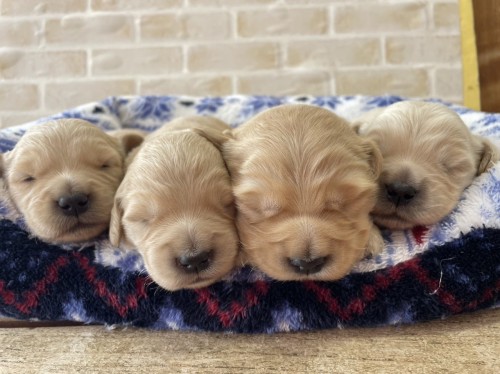 写真 2024-02-07 13 11 24