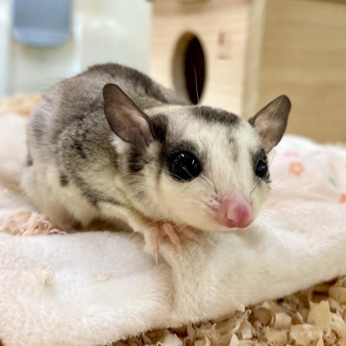 27EA88BC-3510-44D0-B40C-3B49A209876C