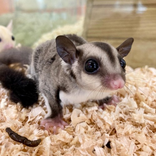 E12848B4-810B-4C92-ABDD-5D8FD2DA84DB