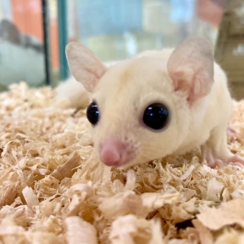 F52F15FF-DD02-415C-957E-5EF3389049B0