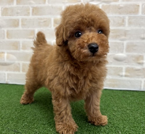 写真 2024-06-19 17 49 06