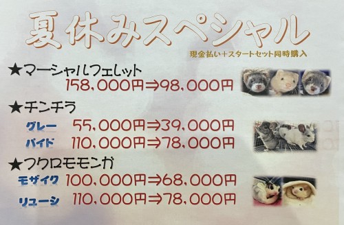 2024-08-15 16.03.27-2