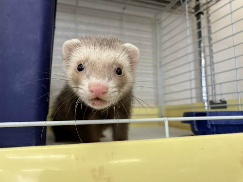 2024-10-12 14.57.56-1