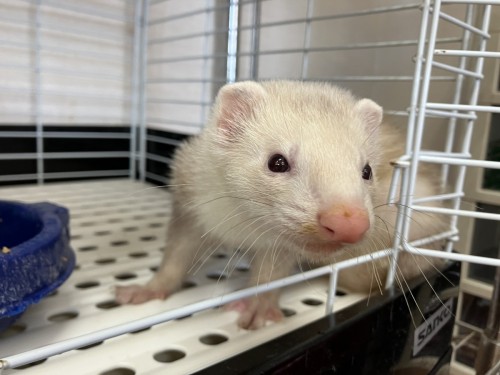 2024-10-12 14.59.56-1