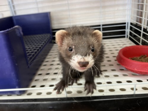 2024-10-12 15.00.31-1