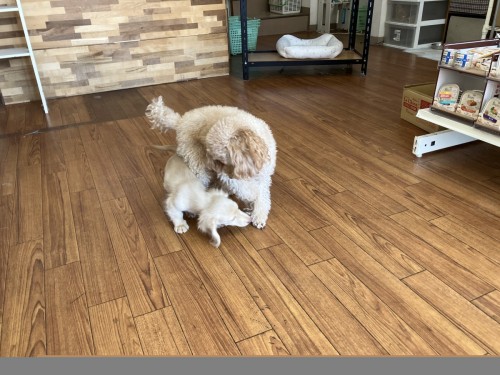 2024-10-20 10.47.39-2