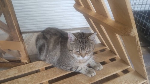 2024-10-26 10.48.49-1