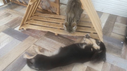 2024-10-26 10.48.49-9