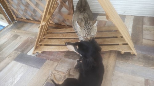 2024-10-26 10.49.00-1