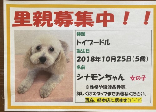 2024-10-16 11.31.04 - コピー