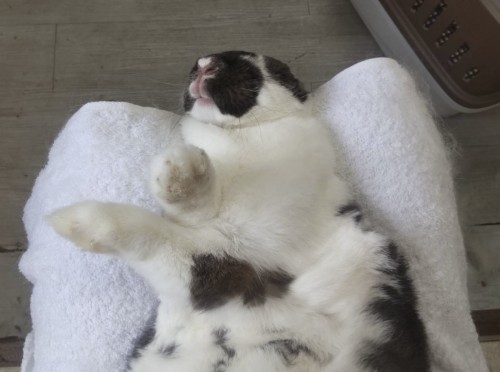 2024-11-10 12.49.57-2