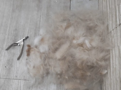 2024-11-10 12.50.14-2