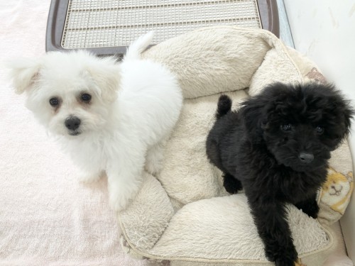 27EB9D0E-24EF-434D-B6EB-89B093398A7C