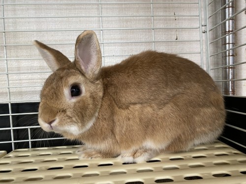 2BABAF5E-60B5-4A88-BE87-BEA69759D910