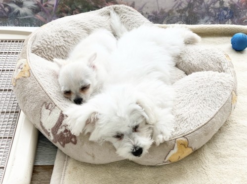 2CDE29CD-2C30-4BD1-BD32-A457C70CF0F4