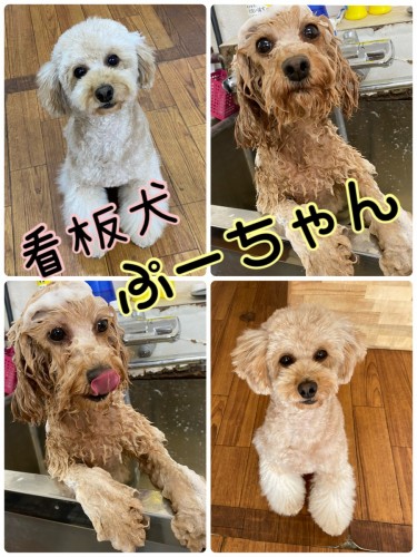 4199340C-C355-42FC-84B3-35CBECAAB95F