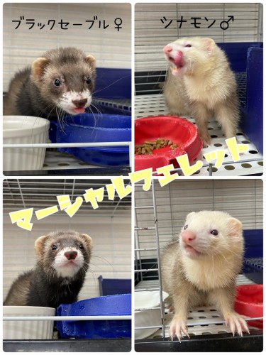 5419FF5A-380F-410C-A01E-7856FF2387C6