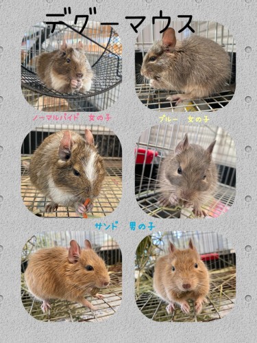 5BBE903E-A5B2-4096-88A5-A23501326B78