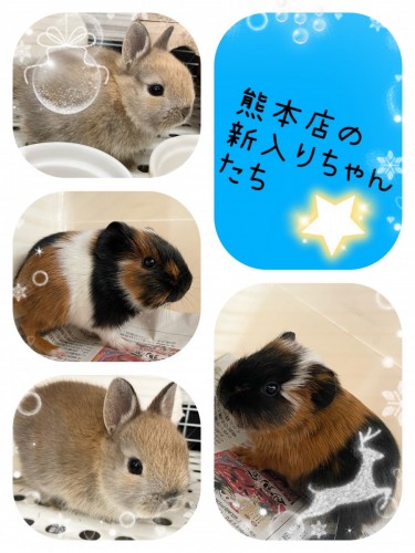 622FA17D-BA63-4D56-BDB4-A1FAF2F2CD0D