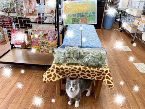 6A848696-AA52-443E-942A-E071DCDE6AC5