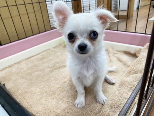 709E76E7-B354-4346-A750-DFEB7DA13D50