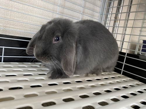 929334D1-C213-4CC1-B9D1-68B95ACC6BFB