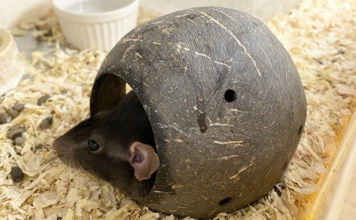 93CE244E-9241-41B4-A6E5-CADEDB312D16