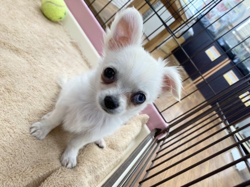 B9D4CF49-CDE5-4FCA-A555-8E0AF86EEB3C