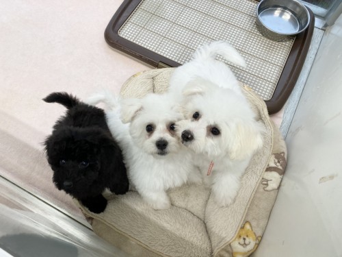 C560503E-AFE6-4865-909A-6D502F4AD103