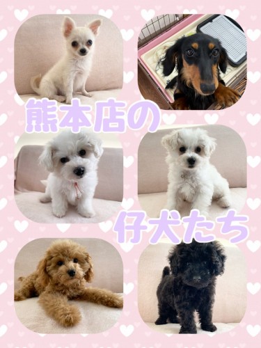 F8065185-F9F9-4AA8-A0B6-23CB74D4D7D3