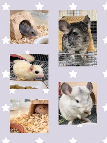 0DF9B3F8-95EC-4DBD-AAA2-62C5AB2AAEEB