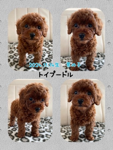 21644A7C-4EF0-4607-B042-087B5AF67C33