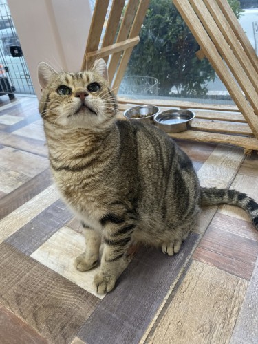 2E5CC07A-ABB0-4E12-A7C2-DE013C2B72E5