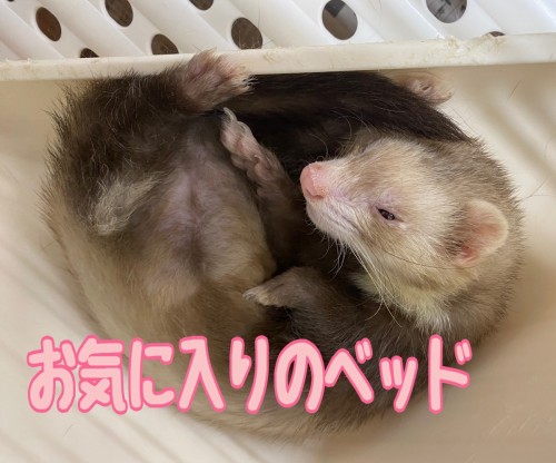 387580BB-5219-4310-9EEB-79AFB6546F49