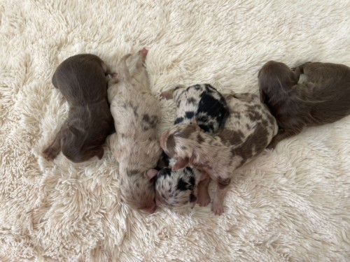 写真 2025-01-28 12 08 25 (2)