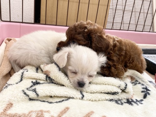 6E7DD0E9-2500-405D-893E-00B056D12473