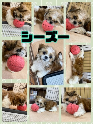 7C99A650-AA79-417E-873F-5E5F0E9CFB5B