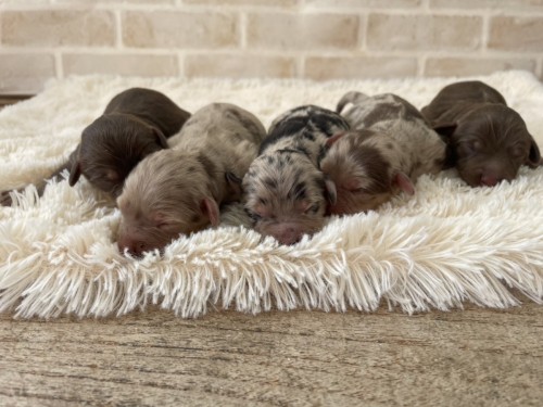 写真 2025-01-28 12 08 25