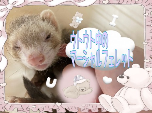 9EDCD161-4F5E-43CD-B5CB-D8AC01DEBB63